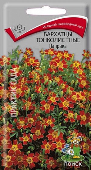 Бархатцы тонколистные Паприка