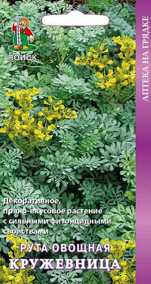 Рута овощная Кружевница