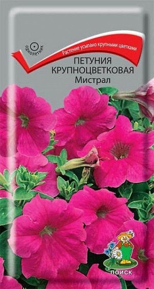Петуния Крупноцветковая Мистрал F1