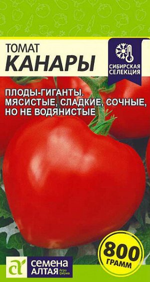 Томат Канары