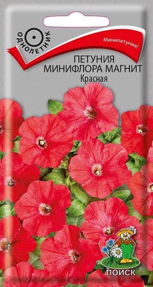 Петуния минифлора Магнит Красная