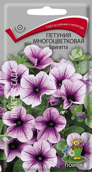 Петуния Многоцветковая Бригитта F1