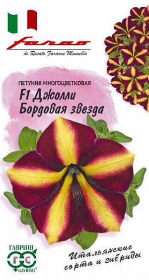 Петуния многоцветковая Джолли бордовая звезда F1