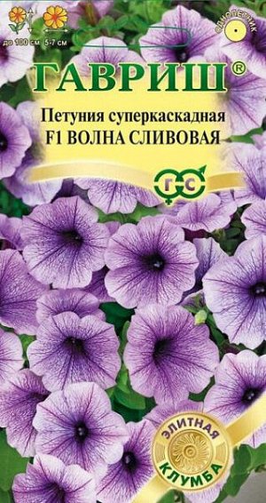 Петуния суперкаскадная Волна сливовая F1