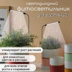 Фитолампы для растений и рассады