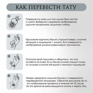 Арт Узор Татуировка на тело цветная двойная &quot;Сфинкс и енот&quot; 10,5х6 см