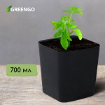 Горшок для рассады, 700 мл, d = 9 см, h = 11 см, чёрный, Greengo