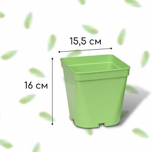 Горшок для рассады, 3 л, d = 16,5 см, h = 16 см, зелёный, Greengo