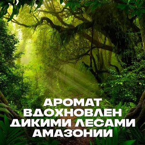 AXE ГЕЛЬ ДЛЯ ДУША И ШАМПУНЬ с пребиотиками и увлажняющими ингредиентами аромат вдохновлен дикими лесами амазонии 250 мл