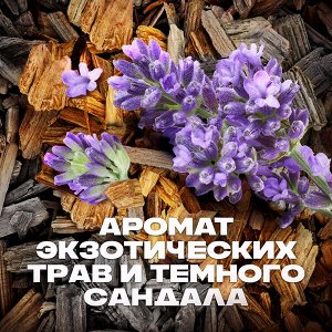 AXE ГЕЛЬ ДЛЯ ДУША И ШАМПУНЬ с пребиотиками и увлажняющими ингредиентами аромат вдохновлен дикими лесами амазонии 250 мл