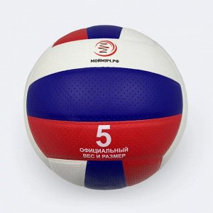 Мяч волейбольный Мой Мяч ПРОФИ-218