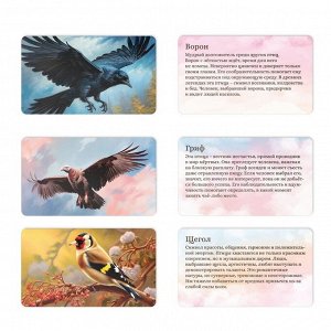 Метафорические ассоциативные карты «Полёт моей души», 50 карт (7х12 см), 16+