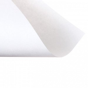 Бумага для рисования А4, 24 листа, 80г/м² Calligrata, в папке