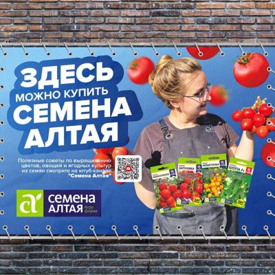 Семена Алтая. Сезон 2024. Семена ягод, Семена овощей