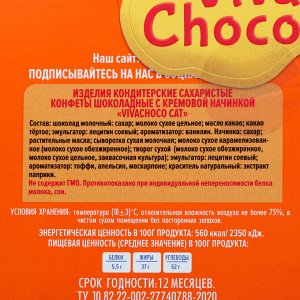 Конфеты шоколадные с кремовой начинкой «VivaChoco CAT», апельсин. 170 г