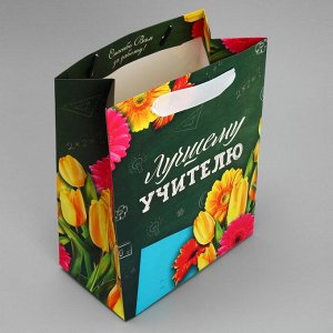 Пакет подарочный ламинированный вертикальный, упаковка, «Лучшему Учителю», MS 18 х 23 х 10 см