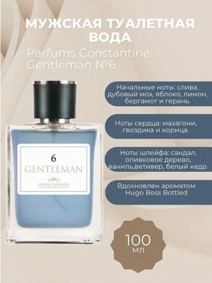 Туалетная вода мужская CONSTANTINE GENTLEMAN №6 100 мл