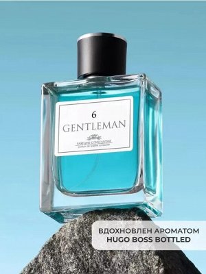 Туалетная вода мужская CONSTANTINE GENTLEMAN №6 100 мл