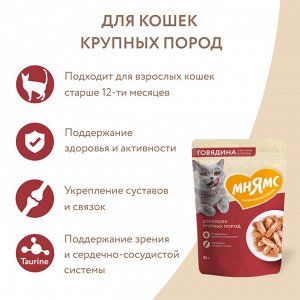 Влажный корм Мнямс Кусочки в соусе с говядиной для крупных кошек 85г