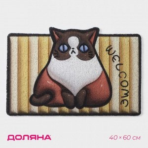 Коврик придверный Доляна «Котик», ПВХ, 40x60 см