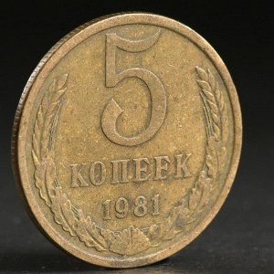 Монета "5 копеек 1981 года"