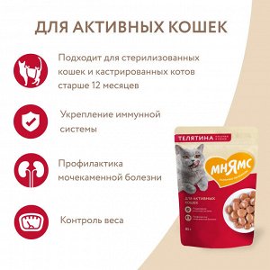 Влажный корм Мнямс Кусочки в соусе с телятиной для активных кошек 85г