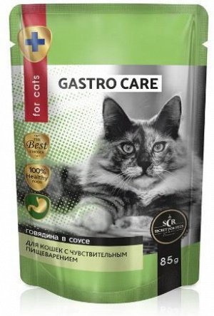 Secret Premium Gastro влажный корм для кошек с чувствительным пищеварением Говядина в соусе 85гр