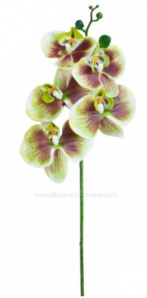 Орхидея Фаленопсис (5 цветков).Искусственный цветок.