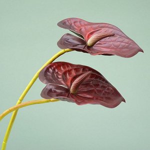 Искусственный цветок на ветке "Антуриум", цвет черно-красный
