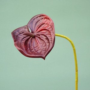 Искусственный цветок на ветке "Антуриум", цвет черно-красный