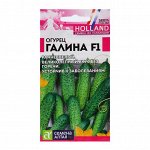Семена огурца &quot;Галина&quot;, F1, 5 шт.