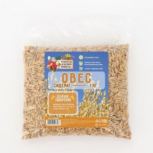 Семена Овес "Рецепты Дедушки Никиты", 1 кг