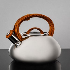 VETTA Чайник стальной 3.0л "Ива" зеркальный, стеклянная крышка, индукция