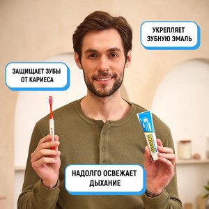 LION "Система" Зубная паста "Ледяная мята" 40 г