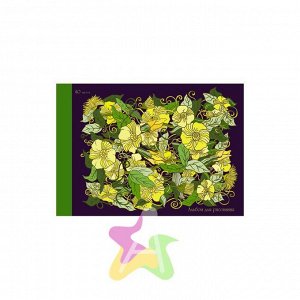 Альбом для рисования 40 листов "Изящные цветы (графика) (склейка)" АБ401603