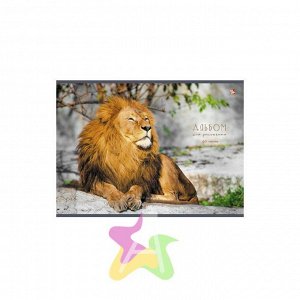 Альбом для рисования 40 листов "Царственный лев" АЛ401300