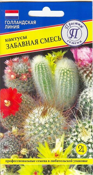 Кактусы забавная смесь