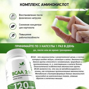 Аминокислоты BCAA NaturalSupp BCAA+ 500мг - 120 капс