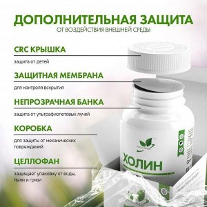 Холин NaturalSupp Choline - 60 капс.