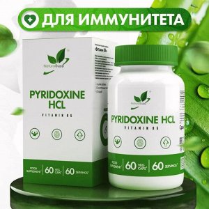 Витамин B-6 NaturalSupp Pyridoxine HCL - 60 капс.