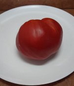 Томат Бычье сердце розовое  Майкла, Сорт.