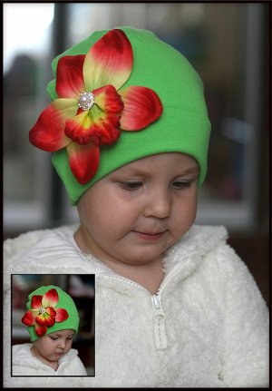 Зеленая шапочка с орхидеей Каттлея …