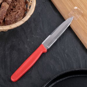 Нож «Эконом», средний, лезвие 10,5 см, цвет Микс