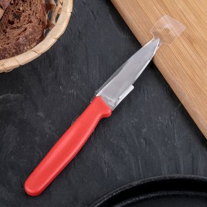 Нож «Эконом», малый, лезвие 8 см, цвет МИКС