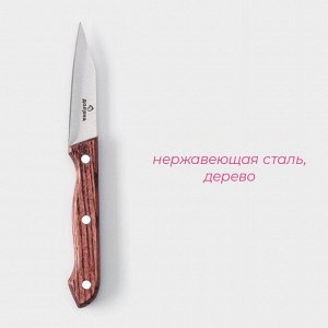 Нож для овощей Доляна Ecology, лезвие 8,5 см