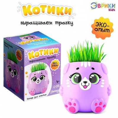 Развивашки! Отличные подарки на любое торжество