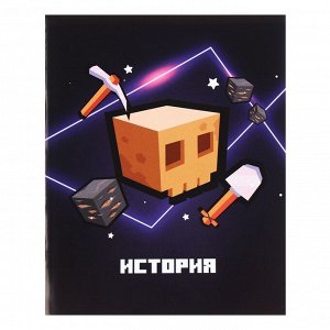 Тетрадь предметная 36 листов в клетку Calligrata «Пиксели.История», обложка мелованный картон