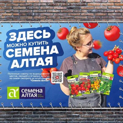 Семена Алтая. Сезон 2024.