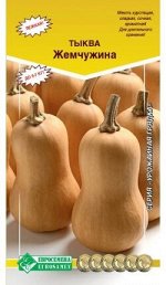 Тыква мускатная ЖЕМЧУЖИНА  (5шт)