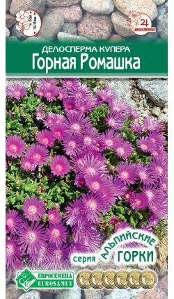 Делосперма купера Горная Ромашка (8 шт)
